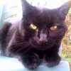 2007-10-18  Mme Ilou_l.jpg